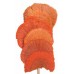 MUSHROOM SPONGE Orange 16"